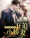 宫少忍不住:狂追小娇妻