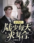 分手后,陆少每天求复合