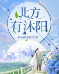 北方有沐阳