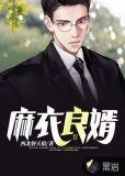 麻衣良婿小说