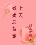 傲娇总裁宠上天