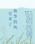 我等的风它来了