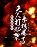 病娇总裁的夫人打起架来拽爆了
