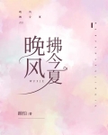晚风拂今夏