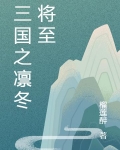 三国之凛冬将至