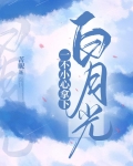 一不下心拿下白月光