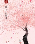 菩提树下的猫儿