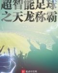 超智能足球之天龙称霸
