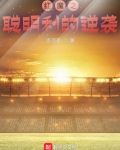 红魔之聪明利的逆袭