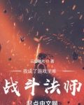 我成了游戏里唯一战斗法师