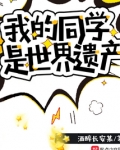 我的同学是世界遗产