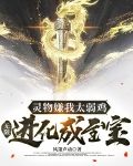 灵物嫌我太弱鸡，无限进化成至宝