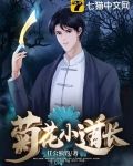 菊花小道长