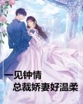 一见钟情:总裁娇妻好温柔