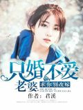 只婚不爱:老婆,求你别改嫁