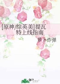 [原神/综英美]提瓦特上线指南百度