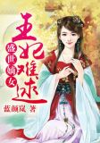 盛世嫡女:王妃难逑