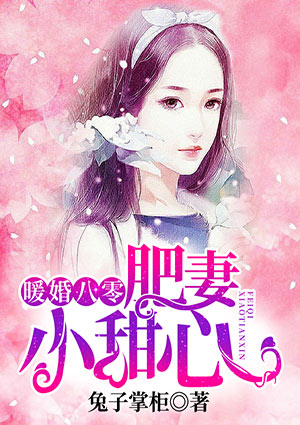 暖婚八零:肥妻小甜心