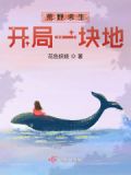 荒野求生:开局一块地