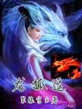 龙狐逗