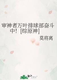 审神者万叶排球部奋斗中![综原神]格格党