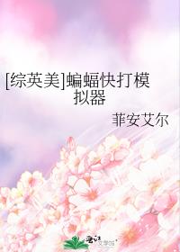 综英美蝙蝠快打模拟器菲安艾尔