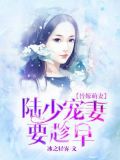替嫁萌妻:陆少宠妻要趁早