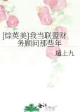 综英美我当联盟财务顾问那些年格格党