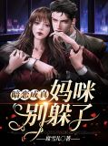暗恋成真,妈咪别躲了