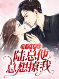 携宝归来后,陆总他总想撩我莫晓蝶