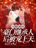 顾沈的小说