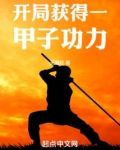 开局获得一甲子功力