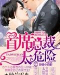 首席总裁,太危险