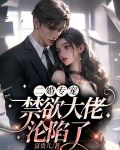 二婚专宠,禁欲大佬沦陷了