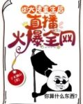 惊!大佬重生后,直播火爆全网
