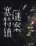塞特镇谜案