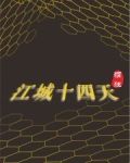 江城十四天