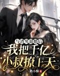 和渣攻退婚后有了他小叔的崽
