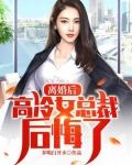 离婚后,高冷女总裁后悔了