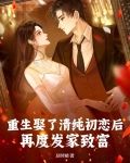 重生娶了清纯初恋后,再度发家致富!