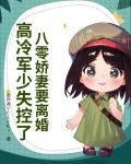 八零娇妻要离婚,高冷军少失控了