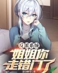 反派系统:姐姐你走错门了