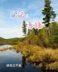 日记:系统