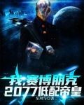 我,赛博朋克2077低配帝皇