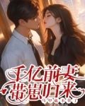 千亿前妻带崽归来,马甲藏不住了