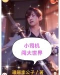 小司机闯大世界