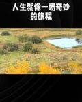 言情的故事