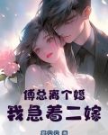 傅总离个婚,我急着二嫁