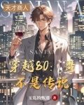 穿越80:哥不是传说