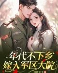 年代:嫁入军区大院偷偷修仙